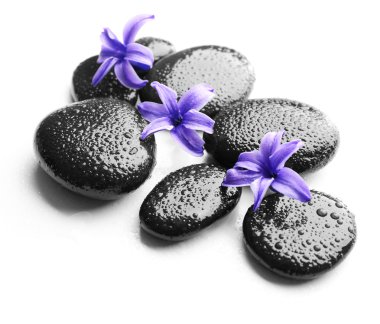 Spa sıcak taş yığını  