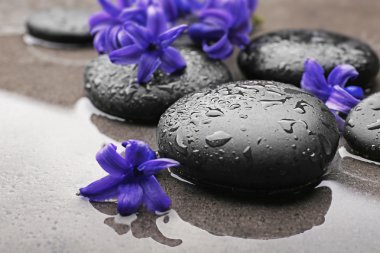 Güzel spa kompozisyonu  