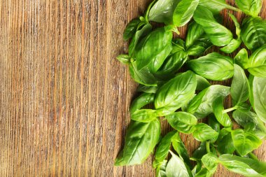 taze fesleğen yaprağı 