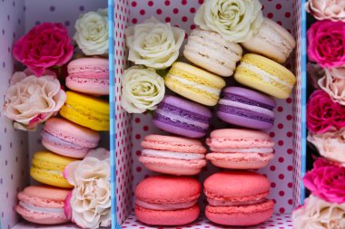 Kutusunda taze lezzetli macaroons 