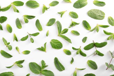 Taze nane yaprakları desen, üstten görünüm