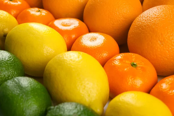 Färgstarka blandade citrus frukter — Stockfoto