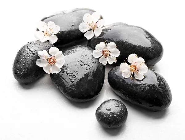 Heap of spa hot stones — Stock Photo, Image
