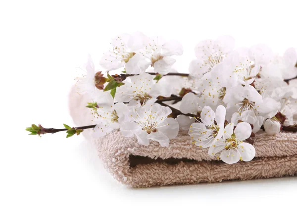 Şube ile Spa kompozisyon 