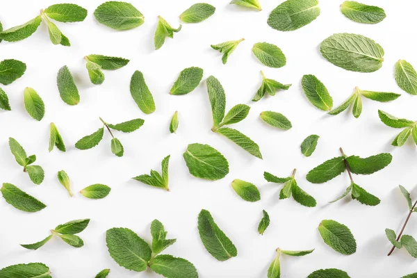 Taze nane yaprakları desen, üstten görünüm