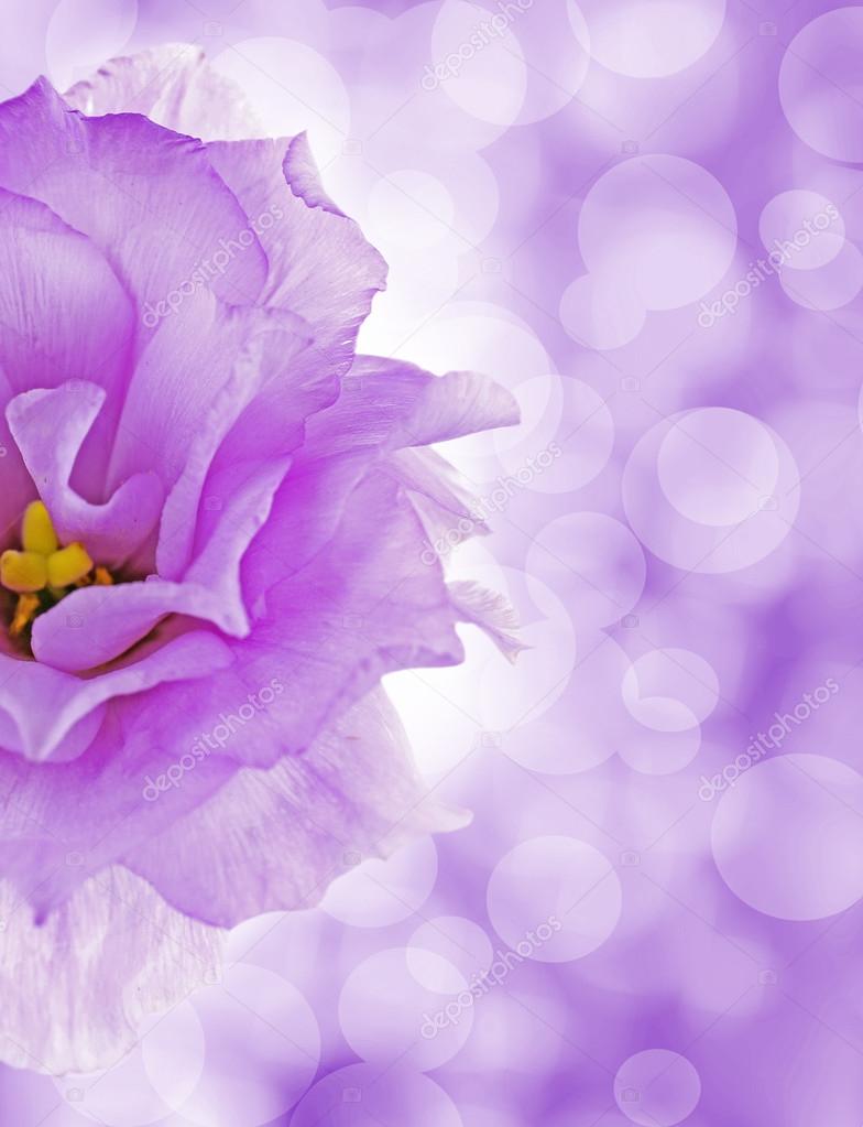 Background with flower and lights Stock Photo by ©belchonock 111247284