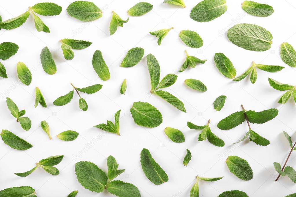 базилик листья. листья лотоса. лист сверху. базилик (реган). лепестки мяты.