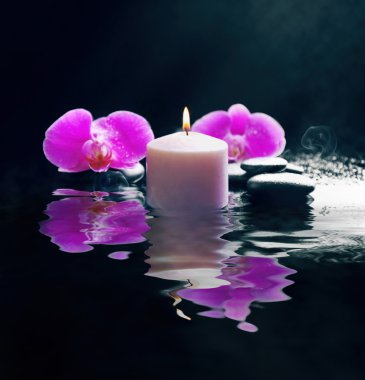 Kompozisyon orkide, çakıl ve mum