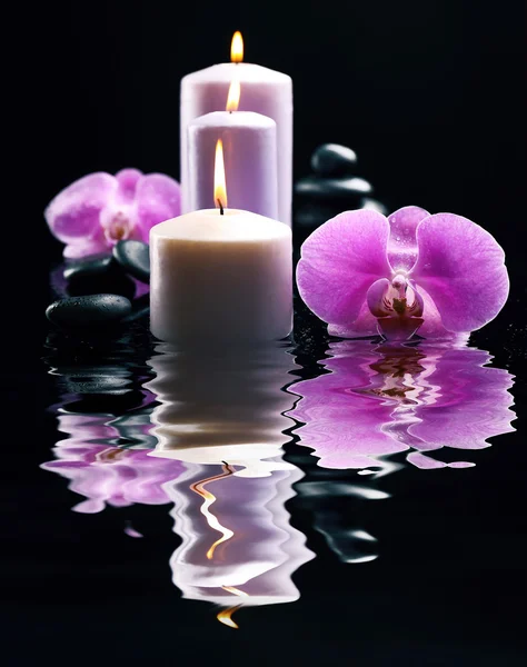 Kompozisyon orkide, çakıl ve mumlar