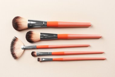 Profesyonel makyaj fırçası koleksiyonu