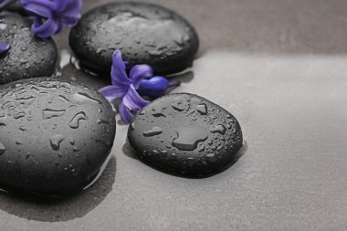 Güzel spa kompozisyonu 