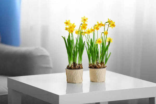 Blooming narcissus flowers on table — Stock Photo, Image