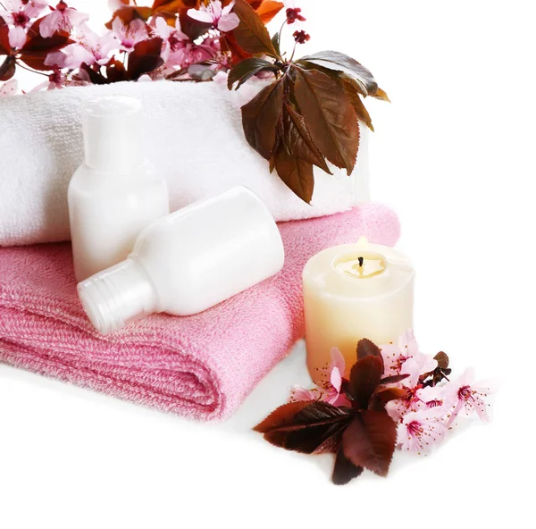 Spa treatment with blooming branch — Stock Photo, Image