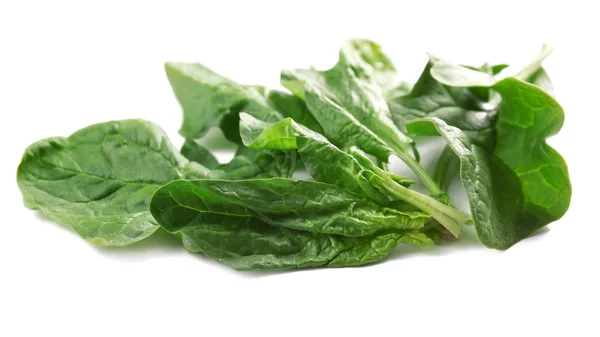 Fresh spinach leaves — Stock Photo, Image