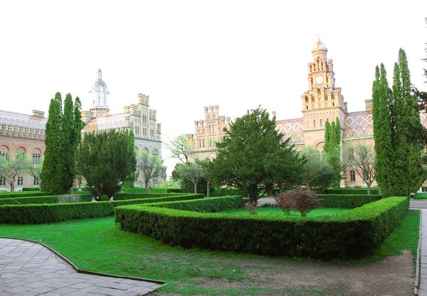 国立大学、ウクライナの緑豊かな茂み — ストック写真