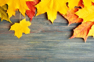 Ahşap arka planda sonbahar yaprakları