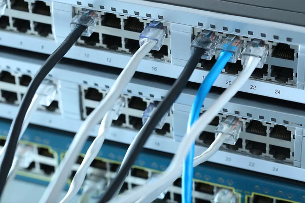 Τα καλώδια Ethernet που συνδέονται — Φωτογραφία Αρχείου