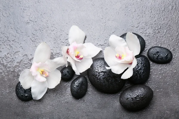 Piedras de spa y orquídeas blancas —  Fotos de Stock