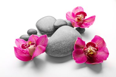 Spa taşlar ve kırmızı orkide