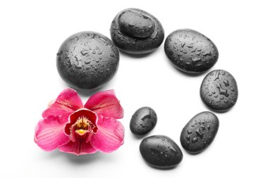 Spa taşlar ve kırmızı orkide