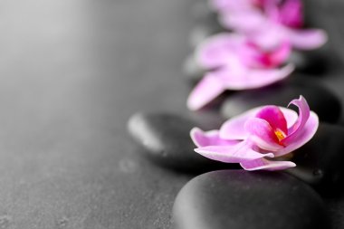 Spa taşlar ve orkide 