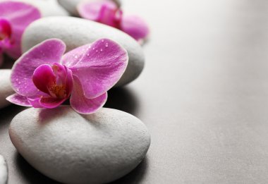 Spa taşlar ve orkide 
