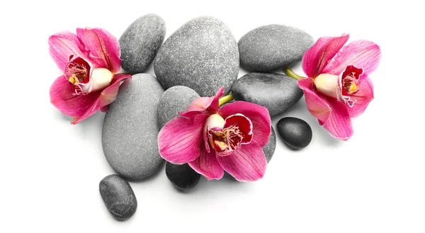 Piedras de spa y orquídeas rojas —  Fotos de Stock
