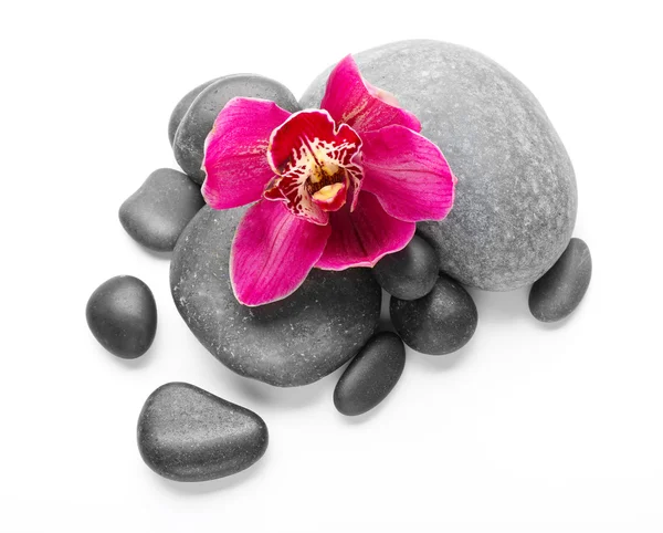 Spa taşlar ve kırmızı orkide — Stok fotoğraf