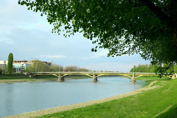 Beautiful river in park — Stock Photo, Image