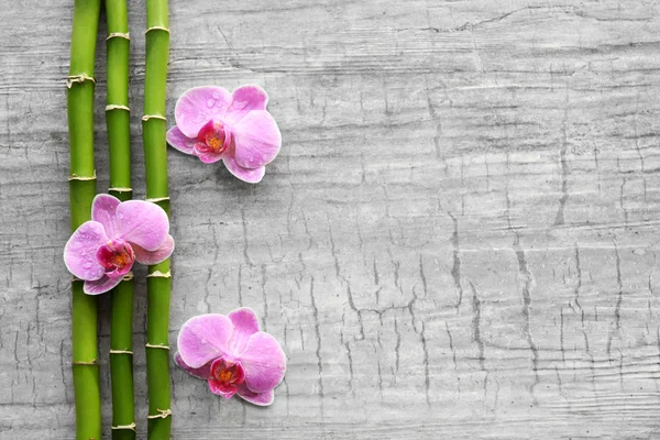Bambu e orquídeas no fundo — Fotografia de Stock