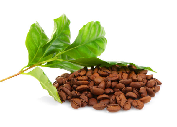 Coffee beans and green leaves