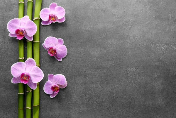 Bambú y orquídeas sobre fondo — Foto de Stock