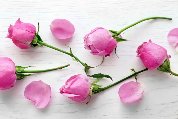 Prachtige roze rozen — Stockfoto