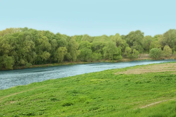 Красивая река в парке — стоковое фото