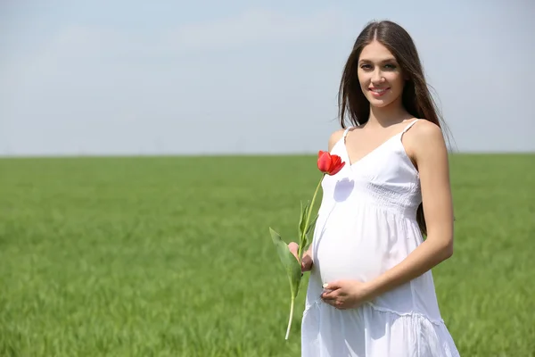 Беременная женщина с красным тюльпаном — стоковое фото