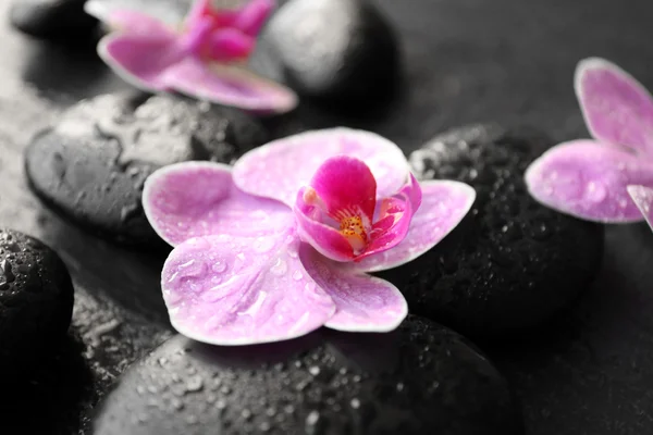 Piedras de spa y orquídeas — Foto de Stock