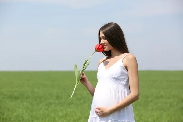 Wanita hamil dengan tulip merah — Stok Foto