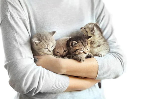 Donna che tiene piccoli gattini carino — Foto Stock