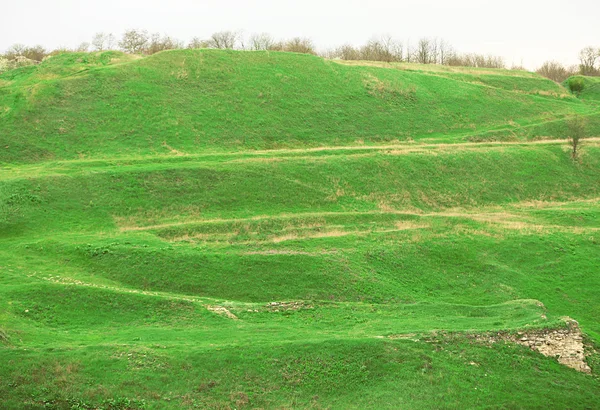 Groene lente landschap — Stockfoto