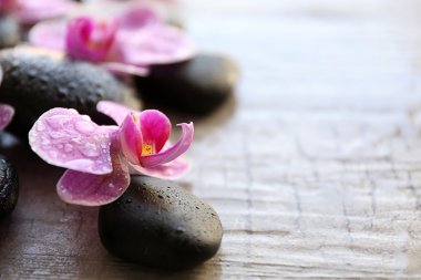 Spa taşlar ve orkide 