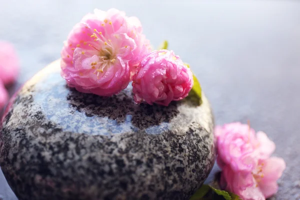 Σπα πέτρες και ροζ λουλούδια — Φωτογραφία Αρχείου