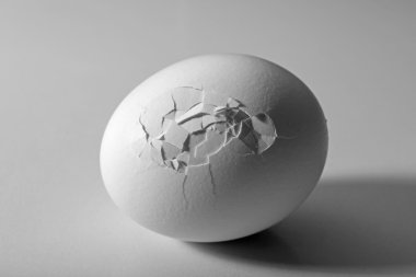 kırık yumurta yakın çekim