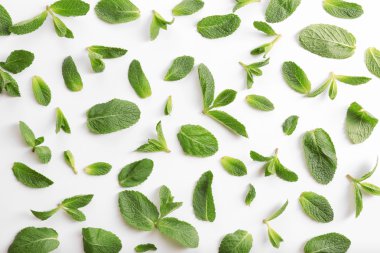 Taze nane yaprakları   