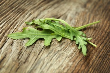 taze roka yaprakları   