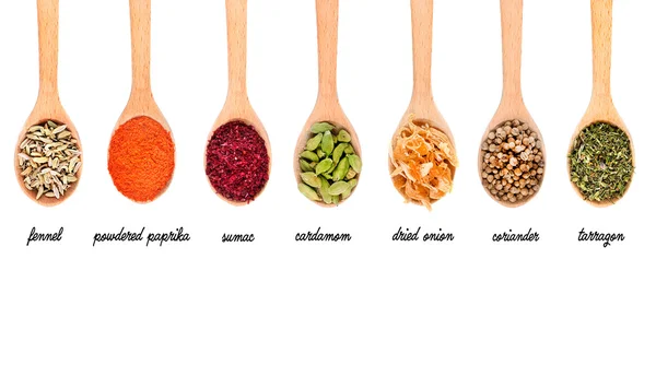 Collection of spices in wooden spoons — Stock Photo, Image