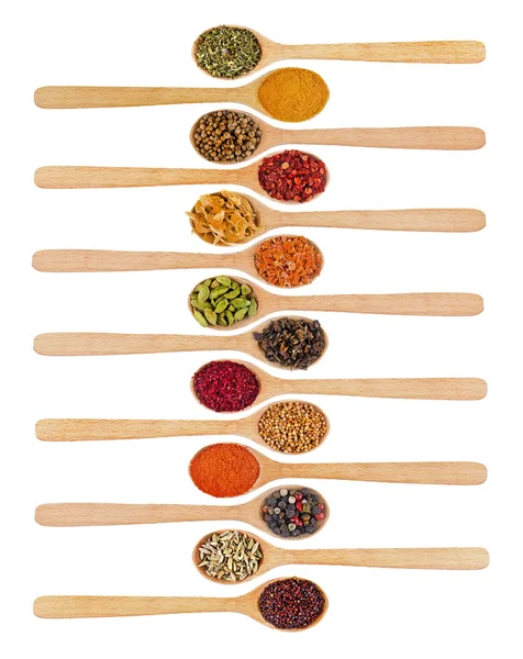 Collection of spices in wooden spoons — Stock Photo, Image