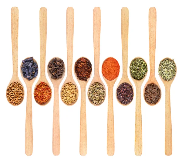 Collection of spices in wooden spoons — Stock Photo, Image