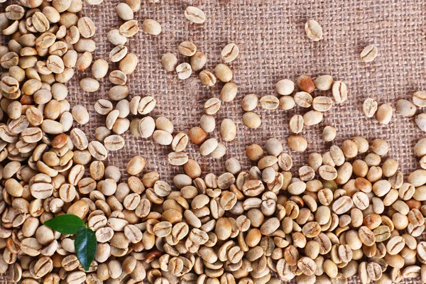 緑のコーヒー豆 — ストック写真