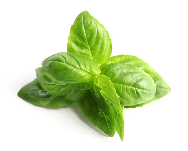 Fresh basil on white — Stock Photo, Image