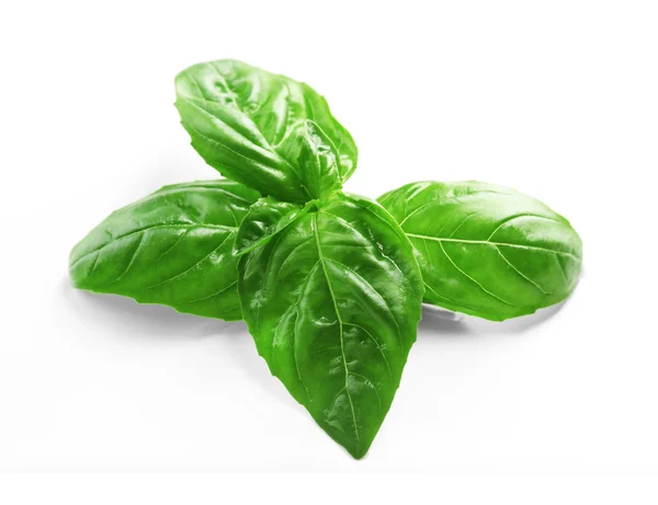 Fresh basil leaves — Stock Photo, Image